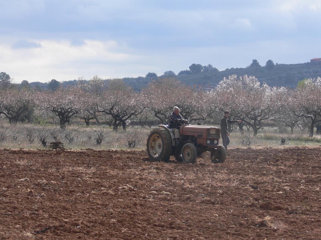 Pou De Beca Allotjaments I Agroturisme Vall dʼAlba Dış mekan fotoğraf
