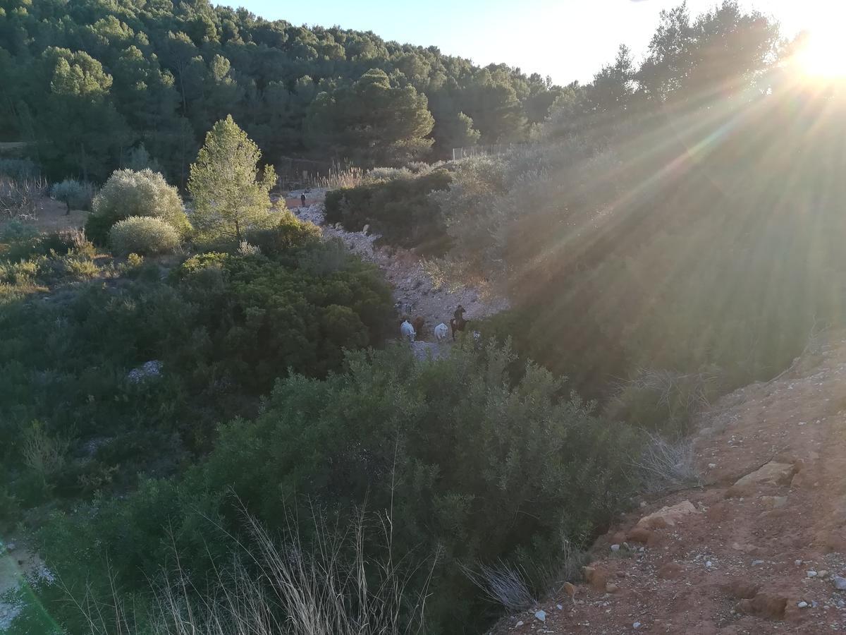Pou De Beca Allotjaments I Agroturisme Vall dʼAlba Dış mekan fotoğraf